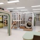 방배2동115 이미지