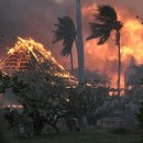 사진으로 보는 하와이의 마우이 섬 전역을 휩쓴 치명적인 산불 이미지