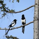 털보자동차공업사 이미지