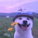 대성상조 - 구리시 이문안로113번길 26-9 | [공지] 제 블로그를 소개합니다(+서로이웃이 되는 방법)