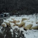 창성농장 이미지