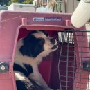 적성면 각기민원센터 이미지