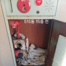 소방시설 지적사항 (관창미비치) 이미지