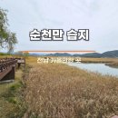 전남 순천만습지 입장료 할인 정보 및 방문후기