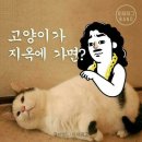 아재 개그~~~~~ 이미지