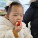 오니마켓 이미지