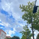 기린살룬 | x됐다 취업됨…