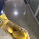 콘블리 이미지