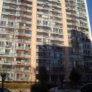 상원초교 이미지