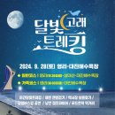 고래stay 이미지