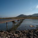 고달리다리 이미지