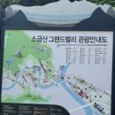 아리하리 | [원주여행] 소금산 그랜드 밸리 출렁다리 꿀팁!_오크밸리 리조트