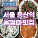 용산-374 | 용산역 울엄마맛집 산낙지탕탕이 용리단길 노포 술집 방문 후기