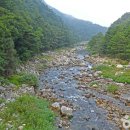 아침가리 계곡 캠핑장 이미지