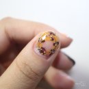 리스(219) 이미지