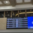 [여행] 상해 가족여행 Day1 | 김포-홍차오 공항 입국, 하프어드링크(반작소고소주관) 양꼬치