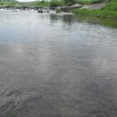 물레방아농장 이미지