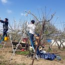 자매유통 이미지