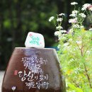평창자연속쉼표 이미지