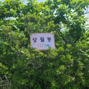 죽령 이미지