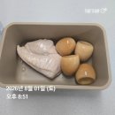 머슬앤핏 | [리뷰] 내돈내산 다이어트 식품 솔직 후기 / 추천 + 불호(비추천) 식품 공유,,,ㅎㅎ