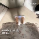 고은 유치원 | 산본 다이어트한약 한의원 다이어트 1주일 1키로 감량후기