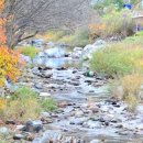 지지밸리야영장 이미지