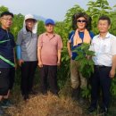 정완농장 이미지