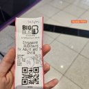 싱가포르랜드투어 - 9880 | 싱가포르 체험 / 싱가포르 빅버스 덕투어 랜드마크 한번에 둘러보는 꼼꼼한 후기