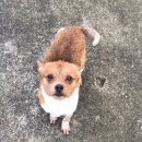 보아농장 이미지