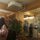 마시따루 이미지