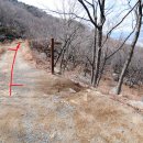 동산초교 이미지