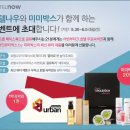 미미부띠크 이미지