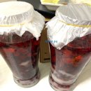 담산농장 | <경기도 안성 산딸기 체험> 소담산딸기 ❤️6월 제철 산딸기 ❤️ 산딸기 담금주 담그기👍산딸기체험팁!산딸기효능