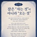 잠은 “자는 것”이 아니라 “오는 것” 이미지