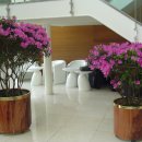 조이플라자 이미지