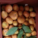 이혁농장 이미지