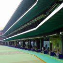 동서울골프클럽 이미지