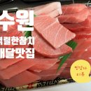 격렬한참치