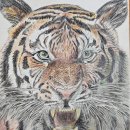 재궁동행정복지센터 이미지