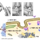 비앤피 - 강남구 강남대로 622 | 비앤피