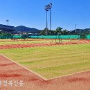 완산생활체육공원 테니스장 이미지