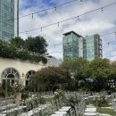 지에스(GS)25 역삼제일점 이미지