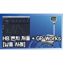 25년 2월 카스 벤치저울 HB + 카스 계량 프로그램 GP-Works [연동 납품 사례]