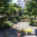 동홍남로 이미지