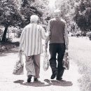 더불어사는우리 만나무료급식소 | 원각사 무료급식소(사회복지원각) 3월 30일<비빔밥, 홍합미역국, 군계란, 빵> 288명 자비의 점심...