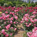 장미부동산 공인중개사사무소 이미지