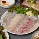 푸른용궁회 이미지