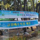 금장해수욕장 이미지