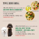 하이펫살롱 이미지